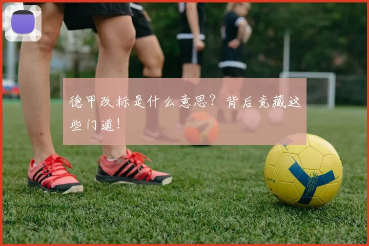 德甲改标是什么意思？背后竟藏这些门道！