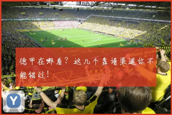 德甲在哪看？这几个靠谱渠道你不能错过！