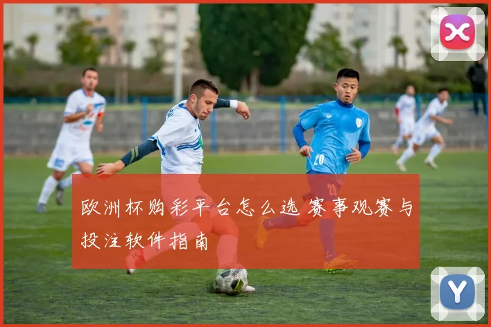 欧洲杯购彩平台怎么选 赛事观赛与投注软件指南