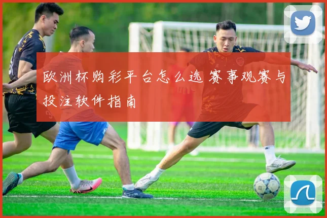 欧洲杯购彩平台怎么选 赛事观赛与投注软件指南