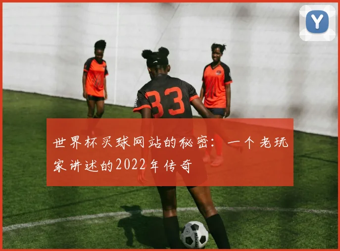 世界杯买球网站的秘密:一个老玩家讲述的2022年传奇
