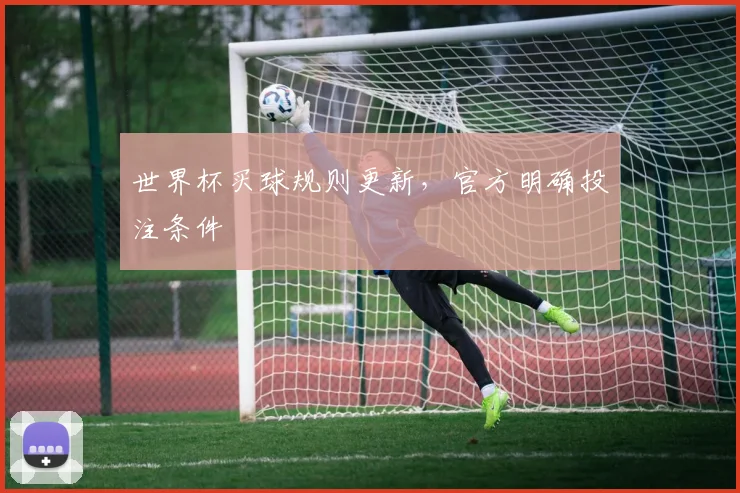 世界杯买球规则更新,官方明确投注条件
