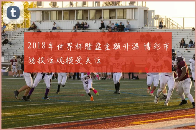2018年世界杯赌盘金额升温 博彩市场投注规模受关注