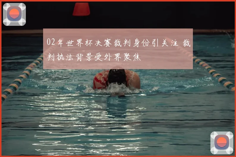 02年世界杯决赛裁判身份引关注 裁判执法背景受外界聚焦